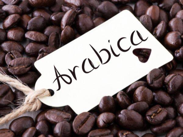 Kawa dla koneserów: co musisz wiedzieć o Arabice i Robuscie