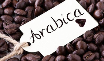 Kawa dla koneserów: co musisz wiedzieć o Arabice i Robuscie